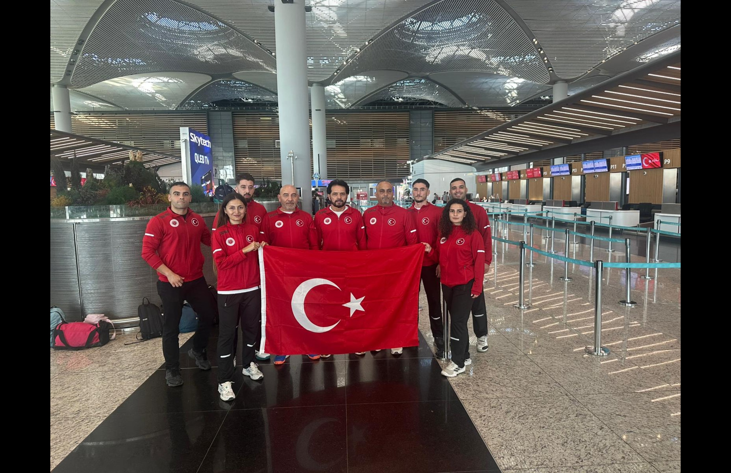 Ju Jitsu Dünya Şampiyonası