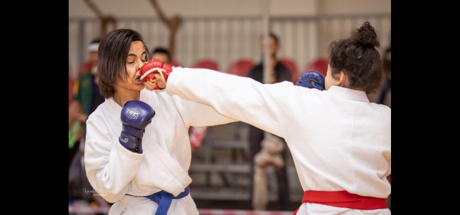 Brezilya Jiu-Jitsu Branş Görseli